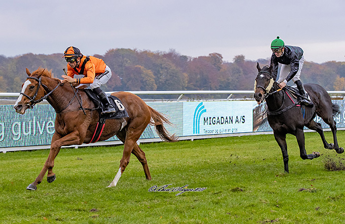 Ingen kunne røre 3-årige Miss Twenty, da hun med jockey Elione Chaves i bøjlerne for tredje gang i karrieren sejrede på Klampenborg Galopbane, lørdag den 30. oktober. Foto Burt Seeger