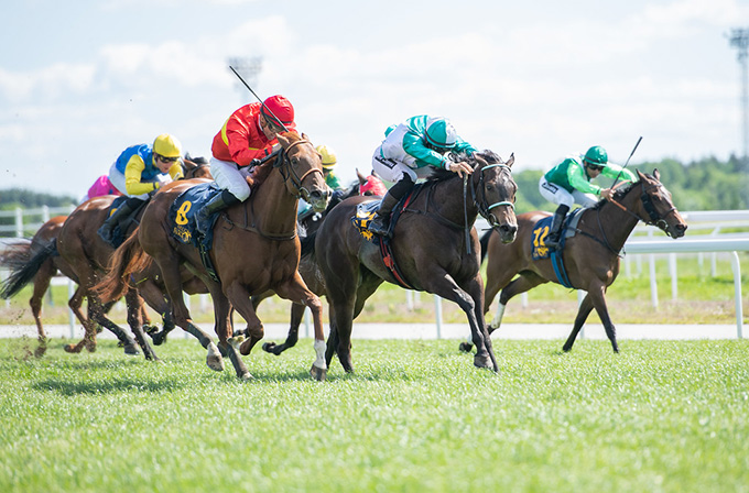 My Vision (nærmest kameraet) og Marshi på vej mod en dobbeltsejr i Svenskt 1000 Guineas, 13. juni 2021. Foto Elina Björklund / Svensk Galopp