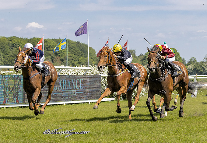 4-årige Never Gone (IRE) med Elione Chaves, nærmest kameraet, på vej mod sin anden sejr, Klampenborg Galopbane, lørdag den 5. juni. Foto Burt Seeger
