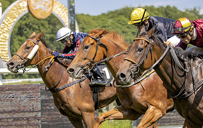 Never Gone (IRE) i Lone Kaj-Nielsens væddeløbsfarver, bourgogne med gul isætning, var stærkest i et Kl. 2 Hcp. over 1600 meter, Klampenborg, lørdag den 5. juni 2021. Foto Burt Seeger 