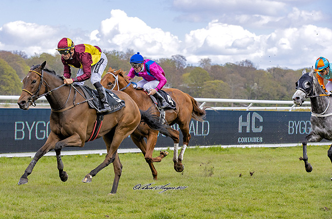 New Target, ejet af Lone Kaj-Nielsen, på vej mod sejr i Breeders's Cup Trial, redet af Elione Chaves, lørdag den 8. maj 2021  Foto: Burt Seeger