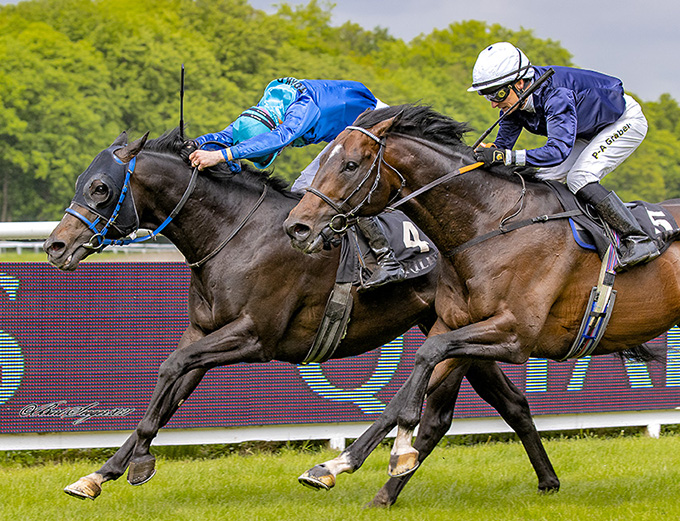 Jockey Nicolaj Stott gør sit ypperste for at hjælpe The Maestro til en flot sejr, lørdag den 22. maj på Klampenborg Galopbane. Foto Burt Seeger.
