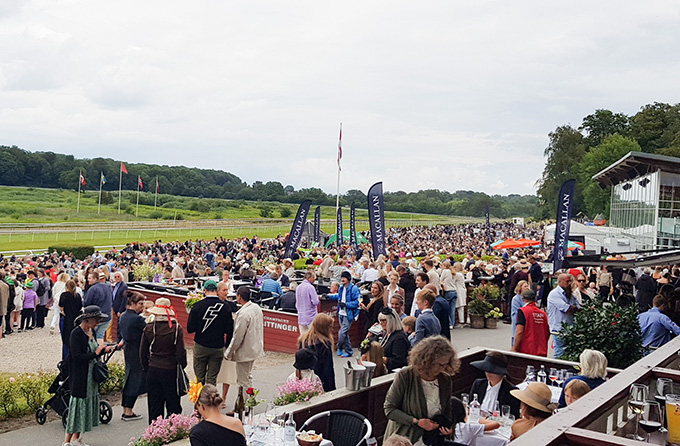 udsnit af Klampenborg Galopbanes mange gæster på derbydagen den 7. aug. 2022.  Foto: Ole Henrik Sørensen