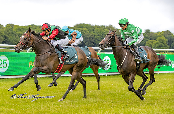 2-årige Misszou, redet af Marcos Robaldo og ejet af Cowins Springer Racing, fanget af fotograf Burt Seeger kort før målstregen. Foto Burt Seeger