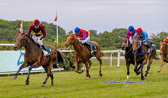Nascetta (IRE) og jockey Marcos Robaldo på vej mod sejr i Gentofte Kommunes Ærespræmie, fredag den 10. juni, Klampenborg. Foto Burt Seeger
