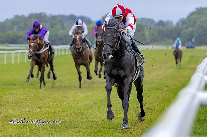 3-årige Onyx, ejet af René Mathiesen og redet af  Marcos Robaldo, imponerer med en fem længdes sejr i Novis løb, lørdag den 23. juli, Klampenborg. Foto Burt Seeger