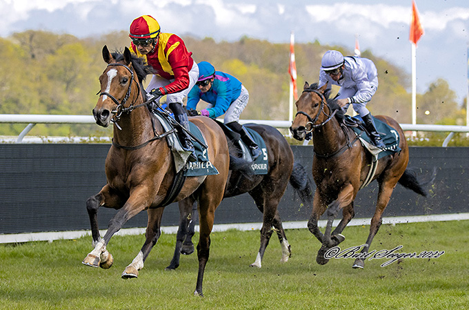 3-årige Paco, redet af jockey Carlos Lopez og  ejet af Casa Colina, på vej mod maidensejr 30. april 2022, Klampenborg Galopbane. Foto Burt Seeger