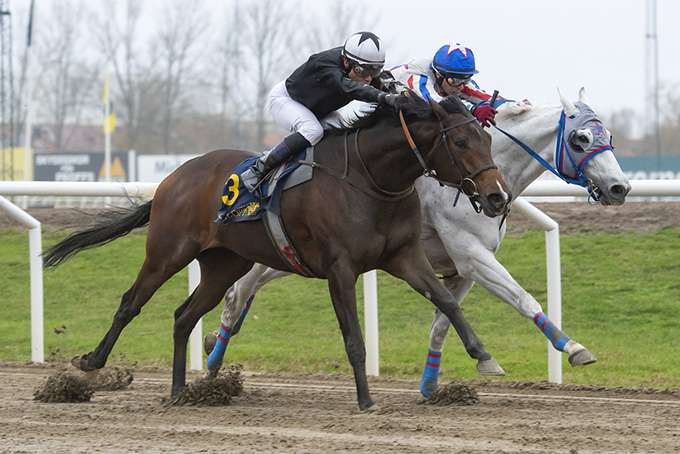 Send Me Angel, redet til sejr af Carlos Lopez på Jägersro 27. nov. - efter nærkamp med Plata O Plomo.. Foto Stefan Olssen, Svensk Galopp