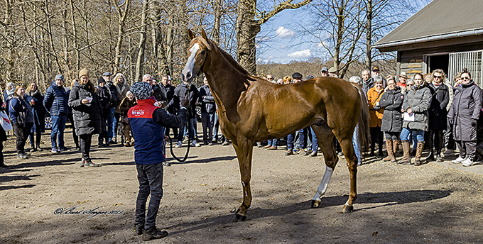 Fotografen Burt Seeger havde travlt med at indfange morgendagens stjerner. Foto: Burt Seeger