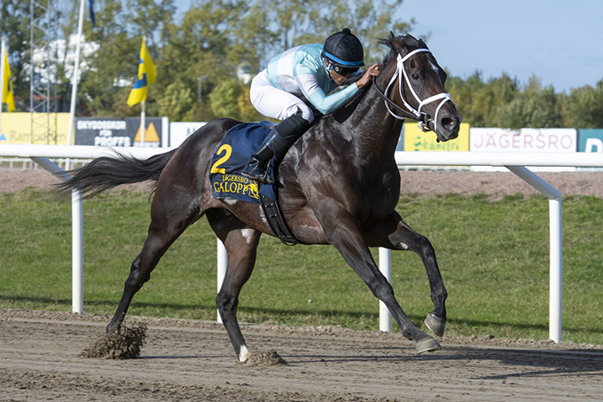 2-årige Tucci (GB), redet af jockey Diego Pedroza, imponerer med en fem længdes sejr i et maidenløb på Jägersro, 9. okt., 2022. Foto Stefan Olsson,Svensk galopp 