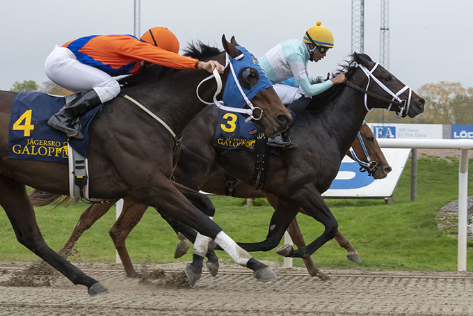 Tucci (GB) på sejrskurs i Manoustielöpning med jockey Diego Pedroza, onsdag den 26. okt. 2022. Foto Stefan Olsson, Svensk Galopp