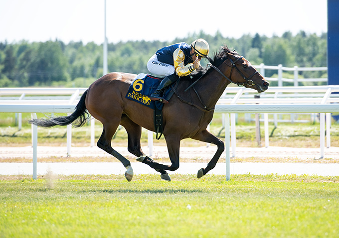 Angel Field (IRE) ses her på vej mod mål med en suveræn føring i Svenskt 1000 Guineas 2023, redet af Elione Chaves, 11. juni. Foto Elina Björklund / Svensk Galopp