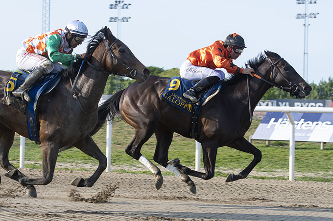 Billy's Joy (GB), redet af jockey Elione Chaves, på vej mod sejr
	i et 1200 meter løb på Jägersro Galoppbane, 26. maj 2023. Foto Stefan Olsson, Svensk Galopp