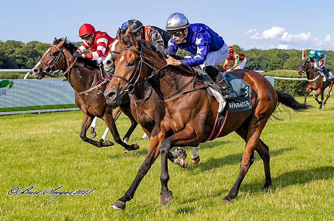 3-årige Good To Go (SWE) på vej mod sin anden sejr med jockey Elione Chaves, fredag den 14. juli, 2023, Klampenborg.. Foto Burt Seeger