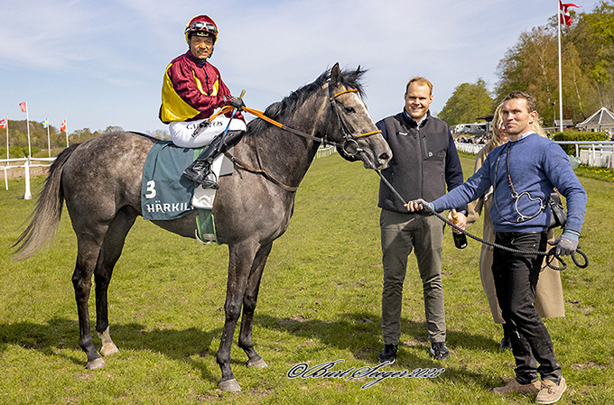 Lone Kaj-Nielsens 3-årige Harlekin (FR) med jockey Carlos Lopez efter maidensejren 6. maj 2023. Foto Burt Seeger