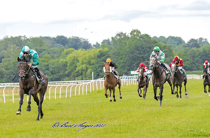 Irish Fire (IRE), ejet af SVD A/S og redet af Elione Chaves sejrer i Derbytesten, 17. juni 2023. Foto Burt Seeger