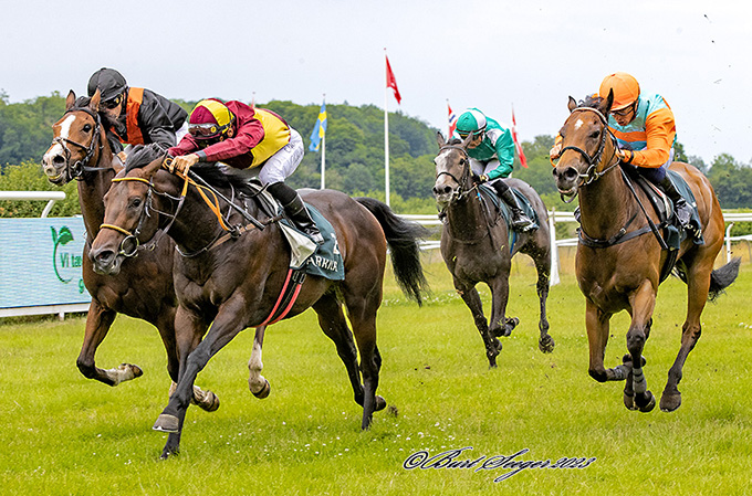 Lone Kaj-Nielsens 3-årige Irish Hope, redet af Elione Chaves, aflægger sin maidentitel, lørdag den 17. juni 2023. Foto Burt Seeger