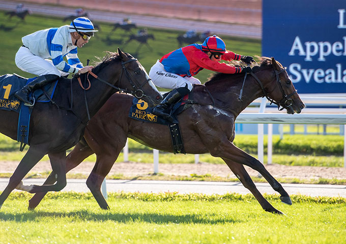 2-årige King Of Ten (IRE) med jockey Elione Chaves på vej mod sejr i 
	Svealandlöpning på Bro Park, 17. september 2023. Foto: Elina Björklund / Svensk Galopp