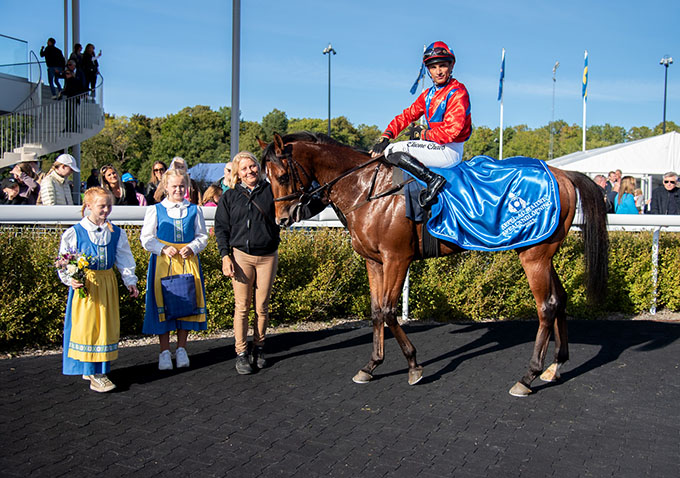 2-årige King Of Ten (IRE), redet af jockey Elione Chaves, bliver hædret med æresdækken i vindercirklen på Bro Park efter sejr i Svealandlöpning. Foto Elina Björklund / Svensk Galopp