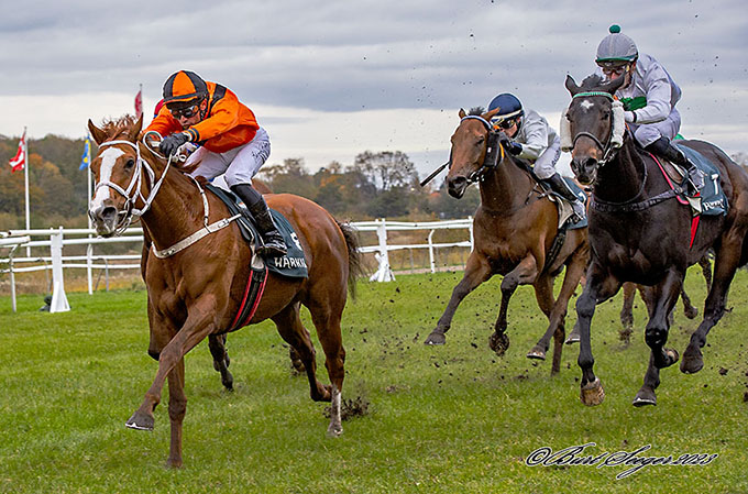 Miss Twenty, redet af jockey Elione Chaves, på vej mod sin 8. sejr, lørdag 28. oktober 2023, Klampenborg. Foto Burt Seeger