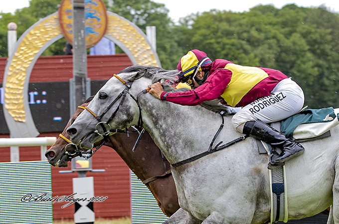 Burt Seegers kamera fanger her Nascetta (Ire og Flash Grey (USA) på målstregen. Foto Burt Seeger