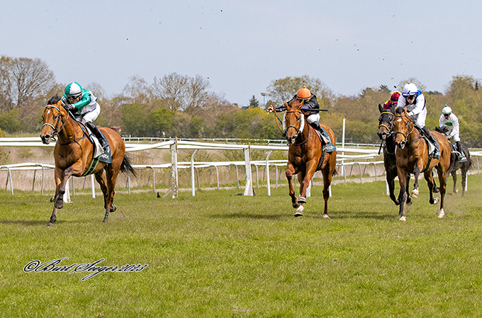 3-årige Nuevo Estrella, ejet af SVD A/S, og med
	Carlos Lopez på ryggen, på vej mod sejr i Guineas Trial, lørdag den 6. maj, Klampenborg. foto Burt Seeger.
