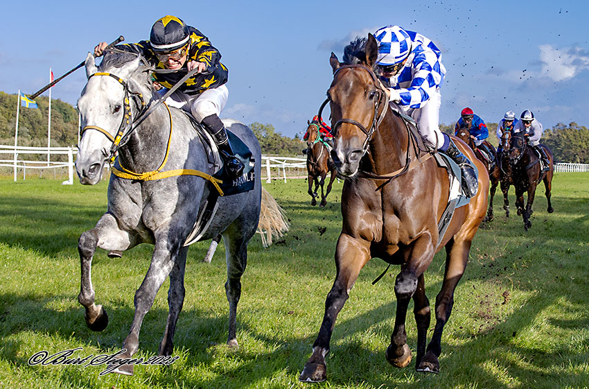 Send Me An Angel sejrer i et Kl. 2 Hcp med jockeylærling Mikkel Mortensen 14. okt, 2023. Foto Burg Seeger