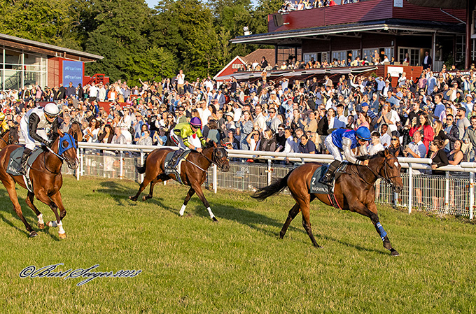 5-årige She Is On Fire (IRE), ejet af Stald Spitco og redet af
	jockey Elione Chaves opnår sin fjerde sejr, Klampenborg, fredag den 14. juli, 2023. Foto Burt Seeger