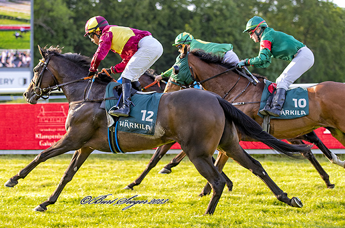 Solitaire (FR), ejet af Lone Kaj-Nielsen, på vej mod sejr med jockey Carlos Lopez i sadlen. Foto Burt Seeger