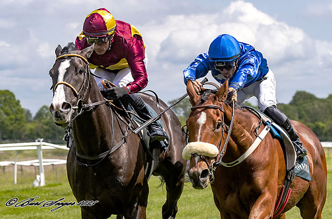Bartholdi (USA) med jockey Carlos Lopez vinder over Manhattan Carlras, Klampenborg, lørdag den 7. juni 2025. foto Burt Seeger