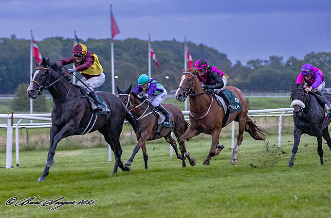 I aftenens sidste løb kl. 21.40 på Klampenborg Galopbane 11/7 2025 vinder 4-årige (IRE) Bartholdi med jockey Carlos Lopez. Foto Burt Seeger