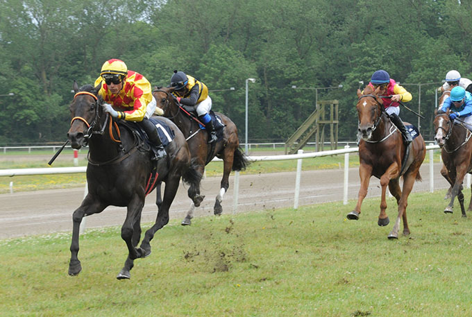 First (DEN) med jockey Elione Chaves på vej mod sejr i Petit Prix 2025 på Jydsk Væddeløbsbane 5. juli 2025. Foto: Ole Hindby