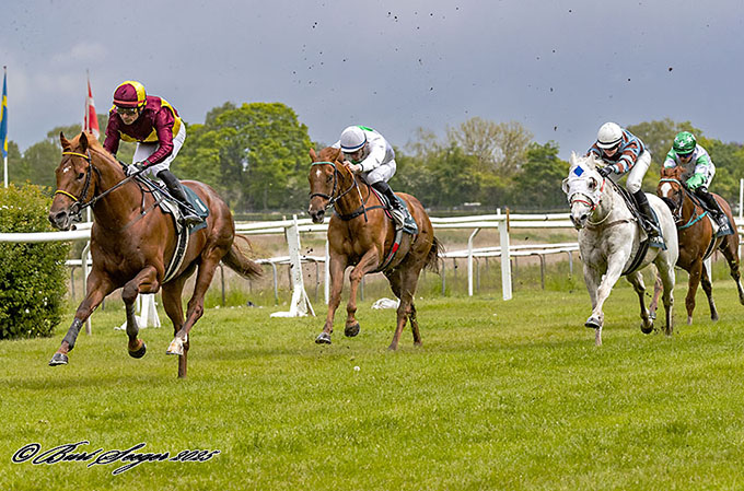 Great Wish (IRE) med jockey Carlos Lopez på vej mod sejr i Championship Day Sprint, 24. maj 2025. Foto Burt Seeger