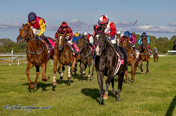 Happy Legend (SWE) fører fra start til mål i klassikeren Dansk Oaks. Her fotograferet kort før målstregen. Foto Burt Seeger