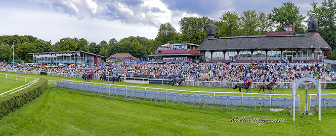 Panoramaudsigt over Klampenborg Galopbane. Foto Burt Seeger