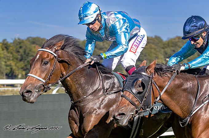 My Friend (IRE) med jockey Dayversom De Barros på vej mod maidensejr 27/9 2025. Foto Burt Seeger