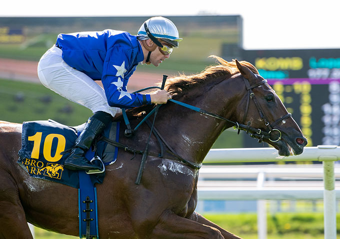 No Surrender med jockey Oliver Wilson på vej mod sejr i Breeders' Trophy Classic, Bro Park 7/9 2025. Foto: Elina Björklund / Svensk Galopp.