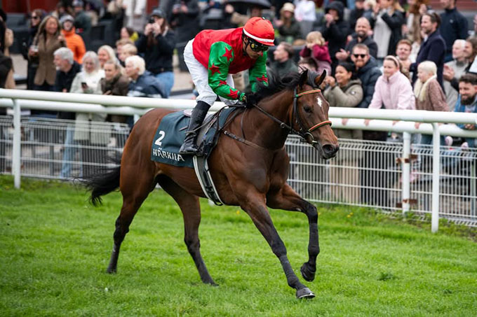 Cool Magic redet til sejr af Carlos Lopez i Visit Royal Ascot Trophy lørdag den 16. maj 2026.Foto: Johanna Friberg - https://fribergpics.pixieset.com/