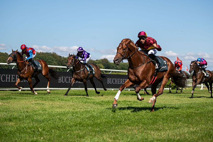 Great Wish (IRE) med jockey Elione Chaves kort før mål i Zawawi Sprint Cup (L), på dansk derbydag 2026. Foto: Johanna Friberg - https://fribergpics.pixieset.com/