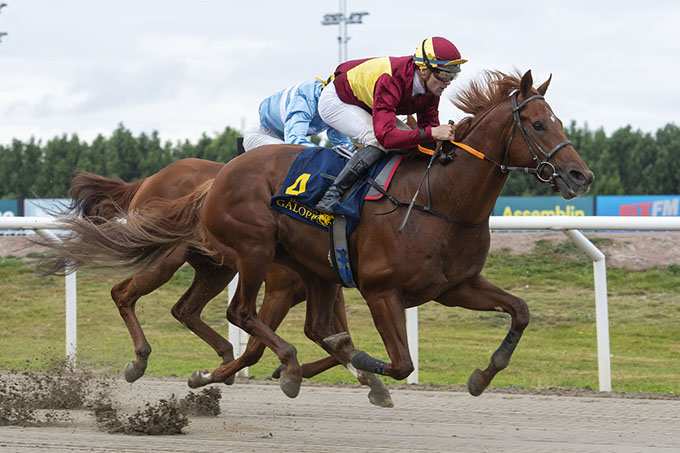 Arkivfoto: Great Wish (IRE) i et  smukt øjeblik, her på Jägersros dirtbane med jockey Oliver Wilson. Foto: Stefan Olsson / Svensk Galopp