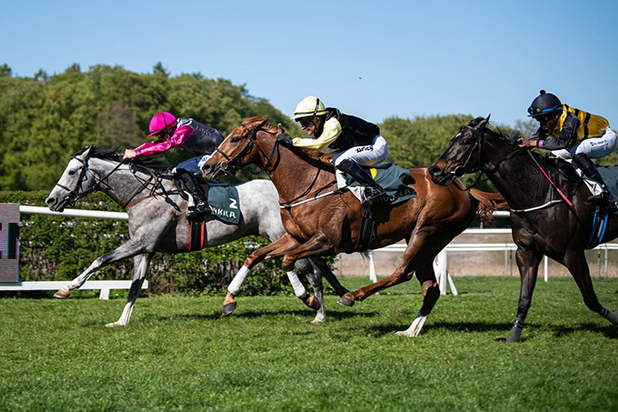 Grey Eminence (DEN) med jockey Jules Mobian kort før målstregen 2. maj 2026. Foto: Johanna Friberg - https://fribergpics.pixieset.com/