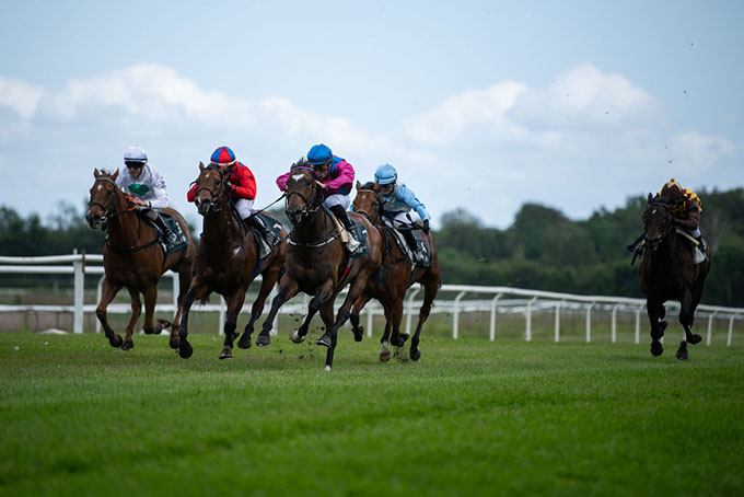 King Of Ten (IRE) med jockey Carlos Lopez i røde og blå farver kom ind som anden i Sommersprint, lørdag den 6. juni 2026. Foto: Johanna Friberg - https://fribergpics.pixieset.com/