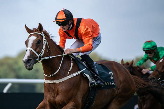 Miss Twenty (DEN) med jockey Jules Mobian på vej mod ny sejr 18. juli 2026.  Foto: Johanna Friberg - https://fribergpics.pixieset.com/
