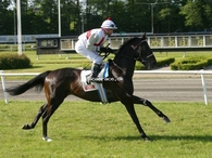 Smokey Storm (GB)